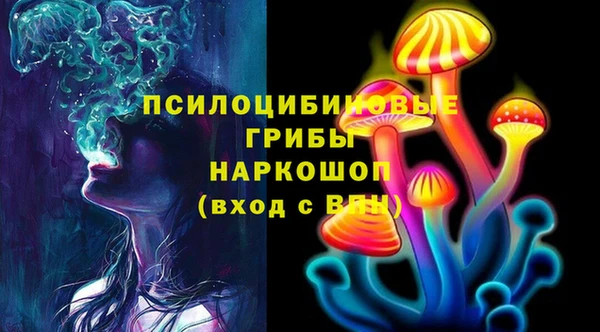 2c-b Надым