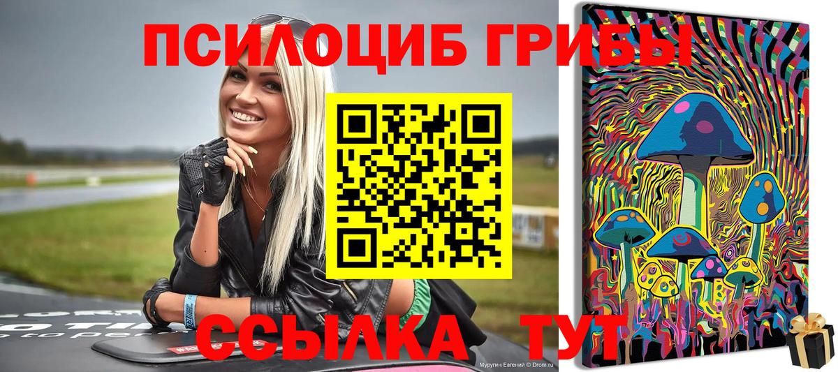 Псилоцибиновые грибы GOLDEN TEACHER  Апшеронск  Галлюциногенные грибы ЛСД 