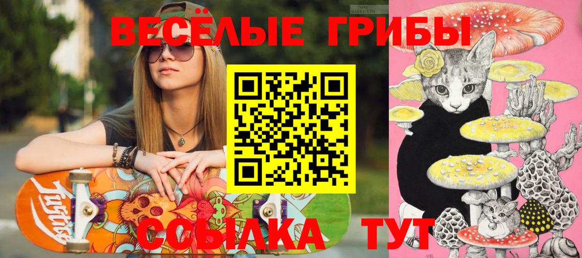 Галлюциногенные грибы Psilocybe  Вход с VPN  наркотики  Апшеронск 